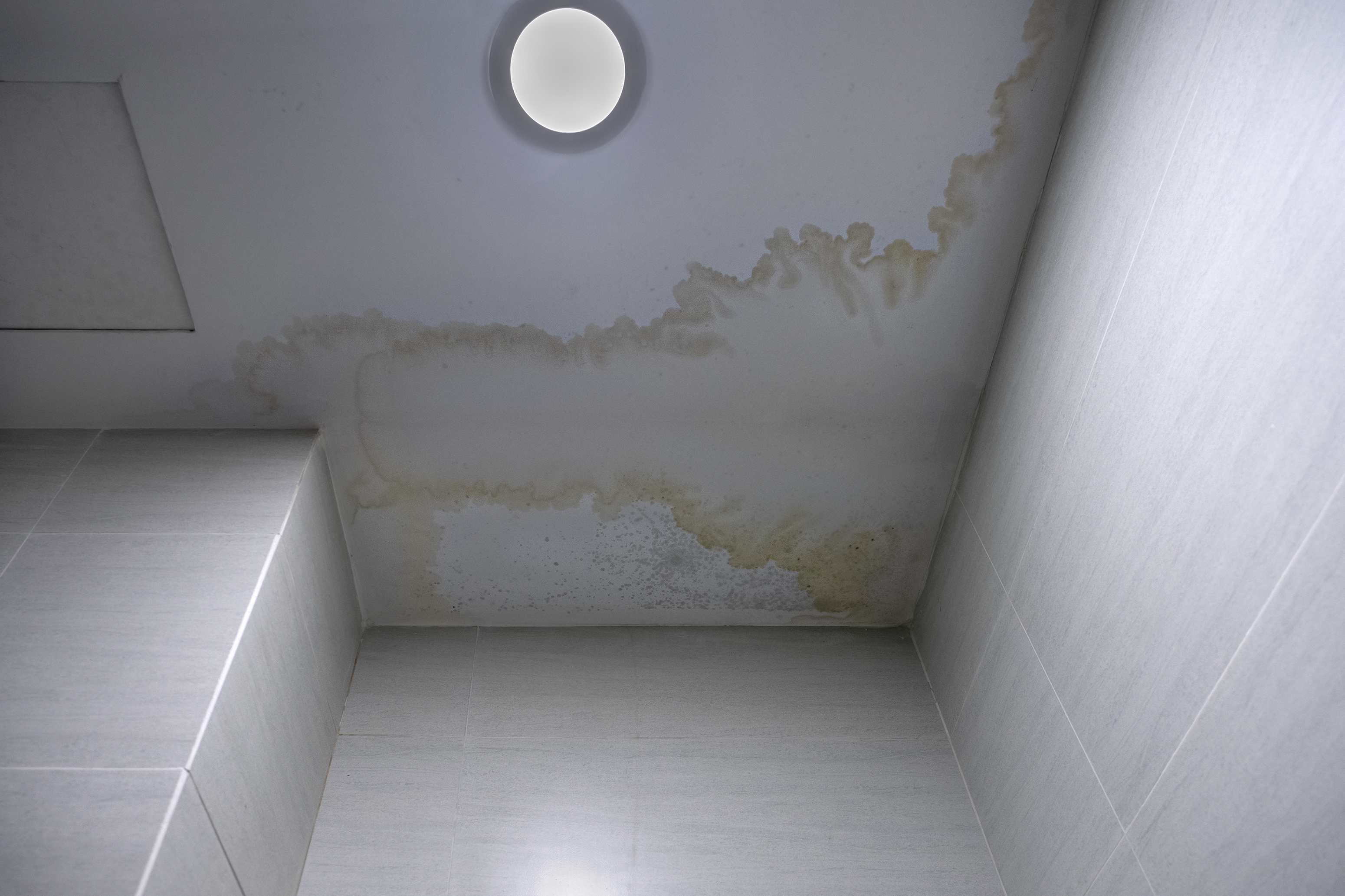 Ceiling water stains during a New York home inspection